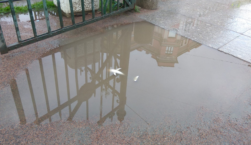 Severe Puddles from Saint Petersburg (Russia)