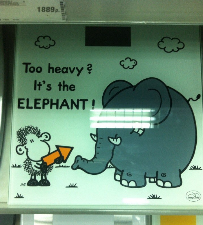 Слишком тяжёлый? Так это слон! (г. Владимир)
