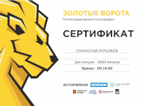 Результат Владимирского полумарафона