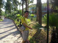 2010-06-02. Знакомлюсь с турецкой пальмой.