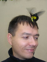 2014-11-22. Немного небритый, но зато с бабочкой. 😊