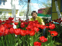 2016-05-09. Среди весенних тюльпанов на даче.