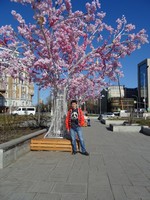 2018-04-29. Этой весной в Москве искусственные сакуры понасажали, похоже, везде, включая данную Тургеневскую площадь.