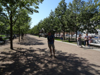 2021-07-12. На одной из аллей Новой Голландии – хорошо тенистой для питерской жары, но плохо для фотографии.