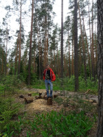 2022-06-19. In a forest somewhere in the vicinity of Gus-Khrustalny (the Vladimir region, Russia), have not found the entrance to the “Meschera” National Park. 🙁