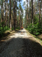 2022-07-15. On the forest road to the Moon Lake on the territory of the “Pearl” Park Hotel.