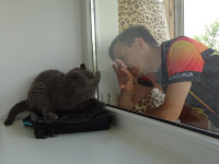 2022-07-17. I am playing with British shorthair Nyusha through the glass – because it is safer with this cat that does not particularly like people. 😾
