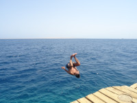 2022-08-29. Anthology of diving figures that I know in practice: salto(-“moralto”) forward.