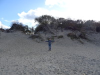 2022-10-12. The Curonian Spit is, first of all, a h-uuu-uge a heap of sand, whole dunes! 🙌