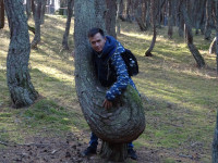 2022-10-12. In the Dancing Forest of the Curonian Spit I am pretending to be a double bass player. 😁