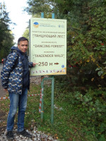 2022-10-12. I am pointing to the sign for the Dancing Forest as a tourist and sightseeing route 250 meters away from me.