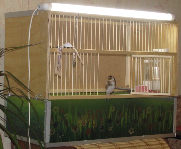 Лампа Arcadia Birds Lamp FB18