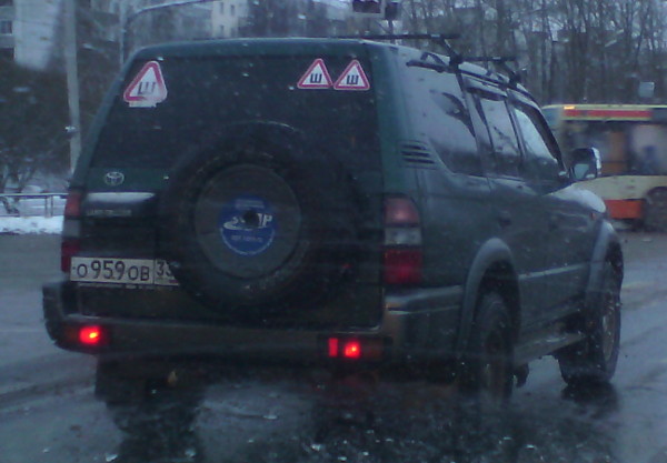 Трижды шипованный (г. Владимир)