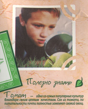 Томат… или яблоко?.. (г. Липецк)