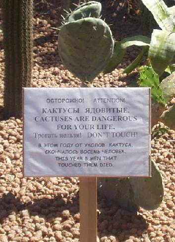 Attention! Cactuses Are Dangerous (Odessa, Ukraine) Attention! Cactuses Are Dangerous (Odessa, Ukraine)