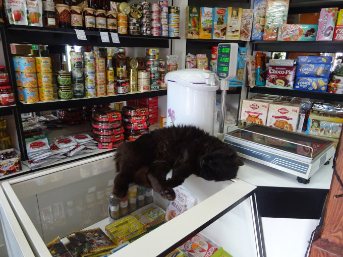 Кот, то ли поштучно, то ли на вес (Ярославская обл., г. Переславль-Залесский) Кот, то ли поштучно, то ли на вес (Ярославская обл., г. Переславль-Залесский)