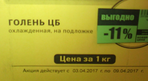 Голень ЦБ (г. Владимир)