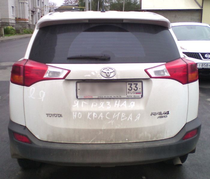 Я грязная, но красивая (г. Владимир)