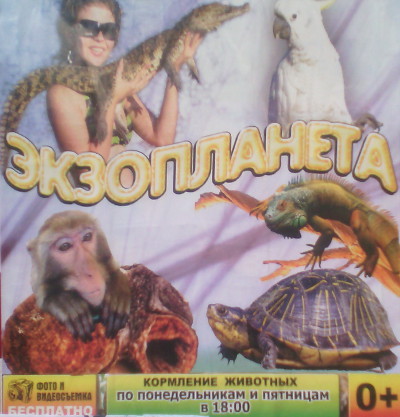 Экзопланета (г. Владимир)