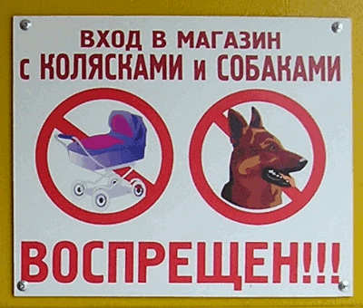 Вход в магазин с колясками и собаками воспрещён!!! Или нет?.. (г. Владимир)