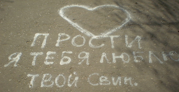 Прости… твой свин (г. Владимир)