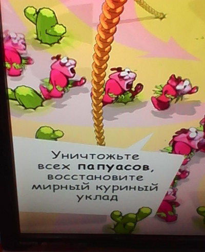Уничтожьте всех папуасов, восстановите мирный куриный уклад (г. Владимир)
