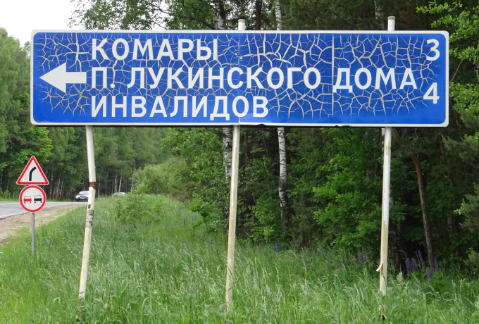 Комары Лукинского дома инвалидов (Владимирская обл., Судогодский р-н)