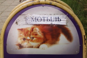 Мотыль (г. Владимир)