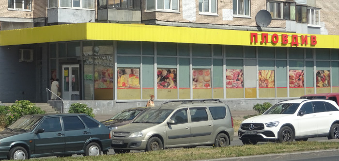 ПЛОВдив (г. Санкт-Петербург)