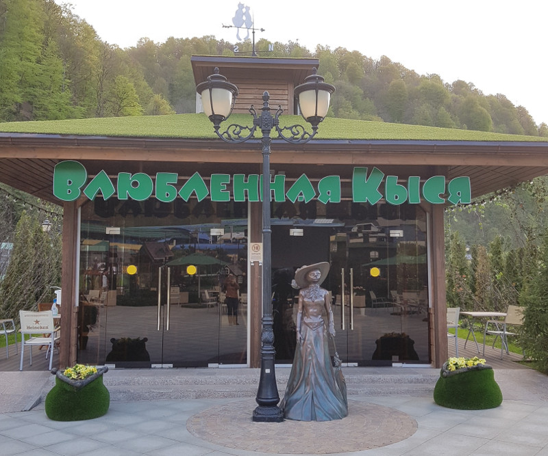 Влюблённая кыся (Краснодарский край, г. Сочи, Роза Хутор)