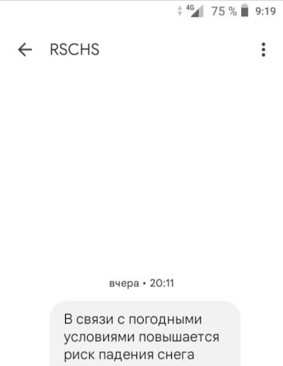 РСЧС предупреждает: зимой повышается риск падения снега (г. Владимир)