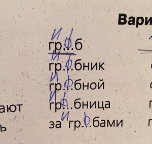 Тест по русскому сына гробовщика (г. Москва)