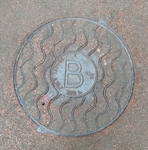 Суровый чугунный питерский биткоин (г. Санкт-Петербург)