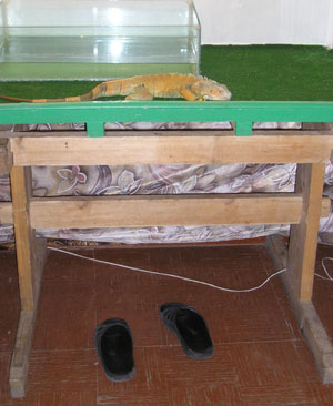 Somebody Has Been Eaten Here (Vladimir, Russia) Somebody Has Been Eaten Here (Vladimir, Russia)