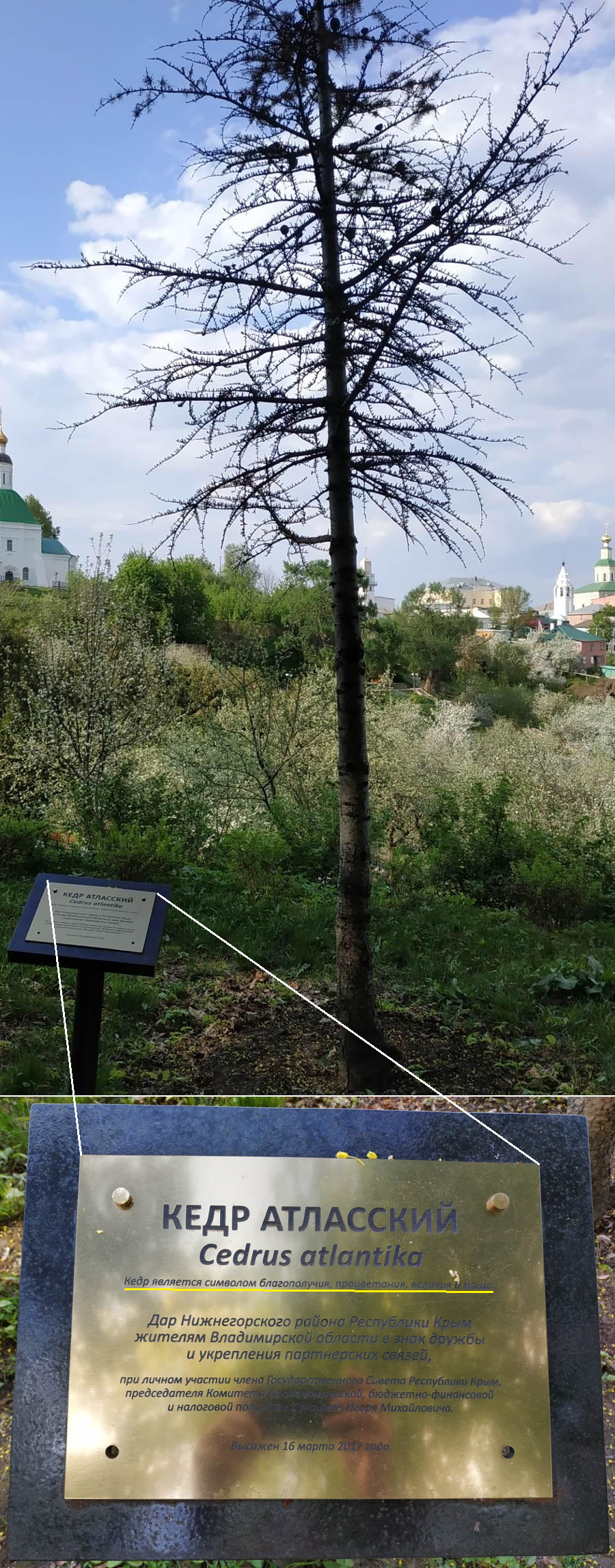 Символ благополучия, процветания, величия и мощи (г. Владимир)