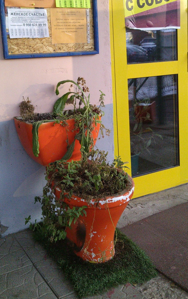 Унитаз – женское счастье (г. Владимир)