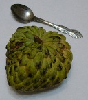 Эшта (eshta) снаружи