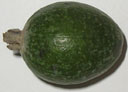 Фейхоа (feijoa) снаружи