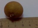 Лонган (longan) снаружи
