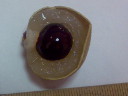 Лонган (longan) внутри