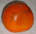 Хурма (persimmon) снаружи