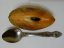 Саподилла (sapodilla) внутри