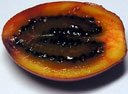 Тамарилло (tamarillo) внутри