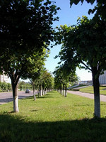Alley near the White House 
© 2003 Lianess