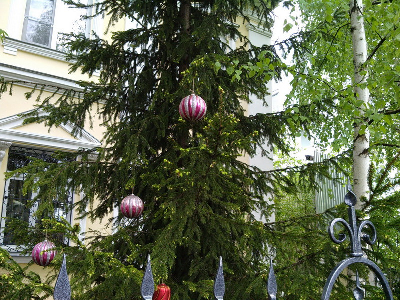 New Year All the year Round (Vladimir, Russia)