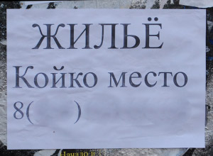 Жильё, койко-место (г. Москва)