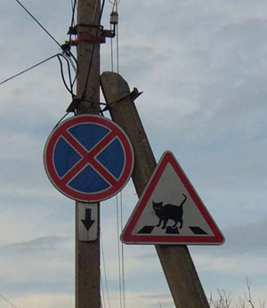 The Sign “Attention! Cats” (Sevastopol, Crimea, Ukraine)