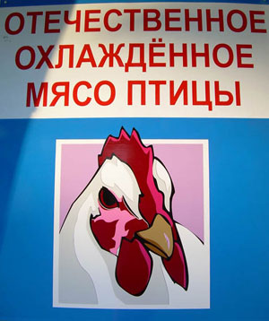 Куриный терминатор (Краснодарский край, г. Геленджик)