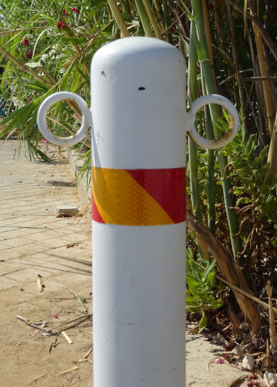 Eared Column
