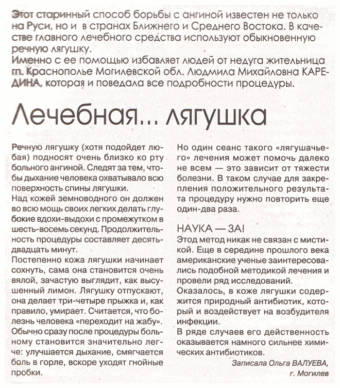 Лечебная лягушка (Белоруссия, г. Могилёв)